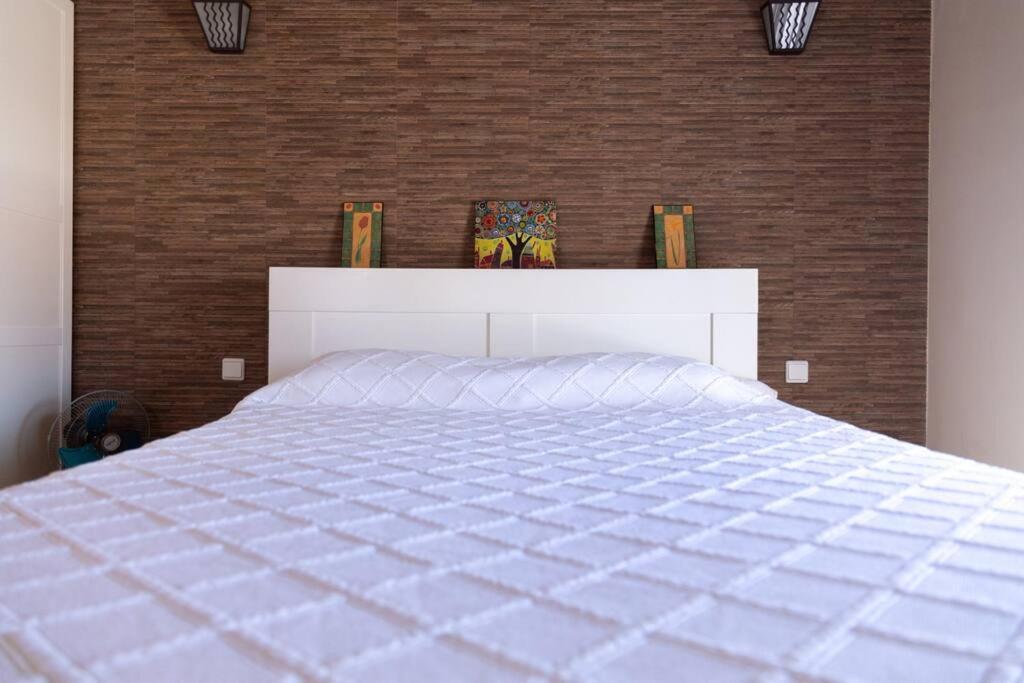 El Loft De Abreu Daire Cadiz Dış mekan fotoğraf
